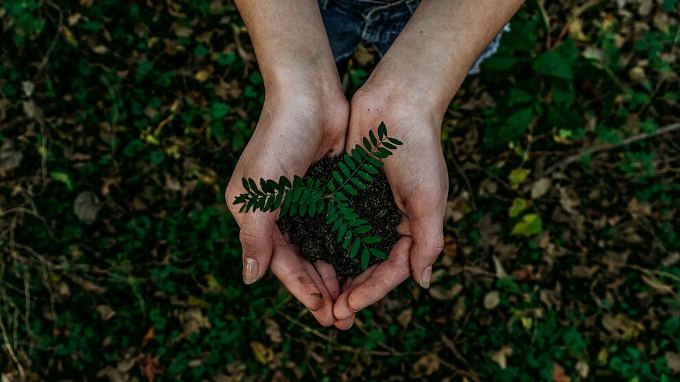 Warum soll ich einen ESG-Bericht machen?